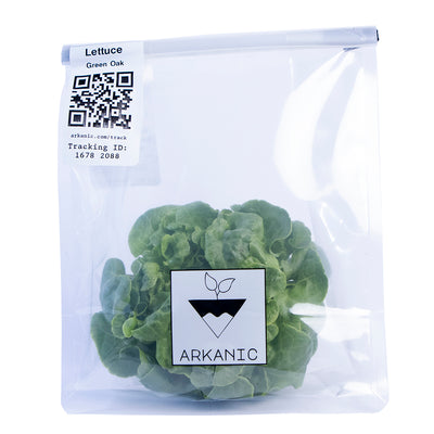 Green Oak Green Lettuce Bunch | 80g-120g