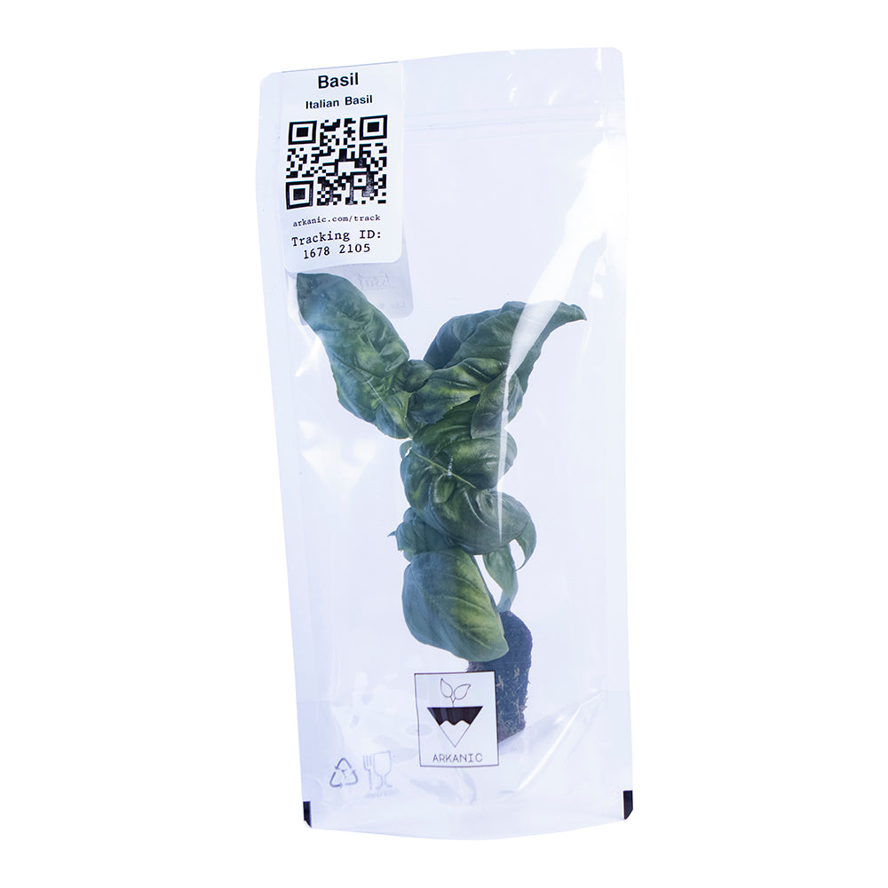 Italian Basil Leaves Bunch | 80g-100g x 2 Units