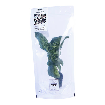 Italian Basil Leaves Bunch | 80g-100g x 2 Units