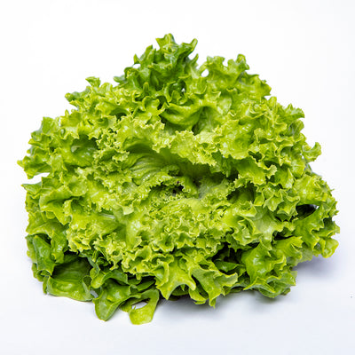 Locarno Green Lettuce Bunch | 80g-120g