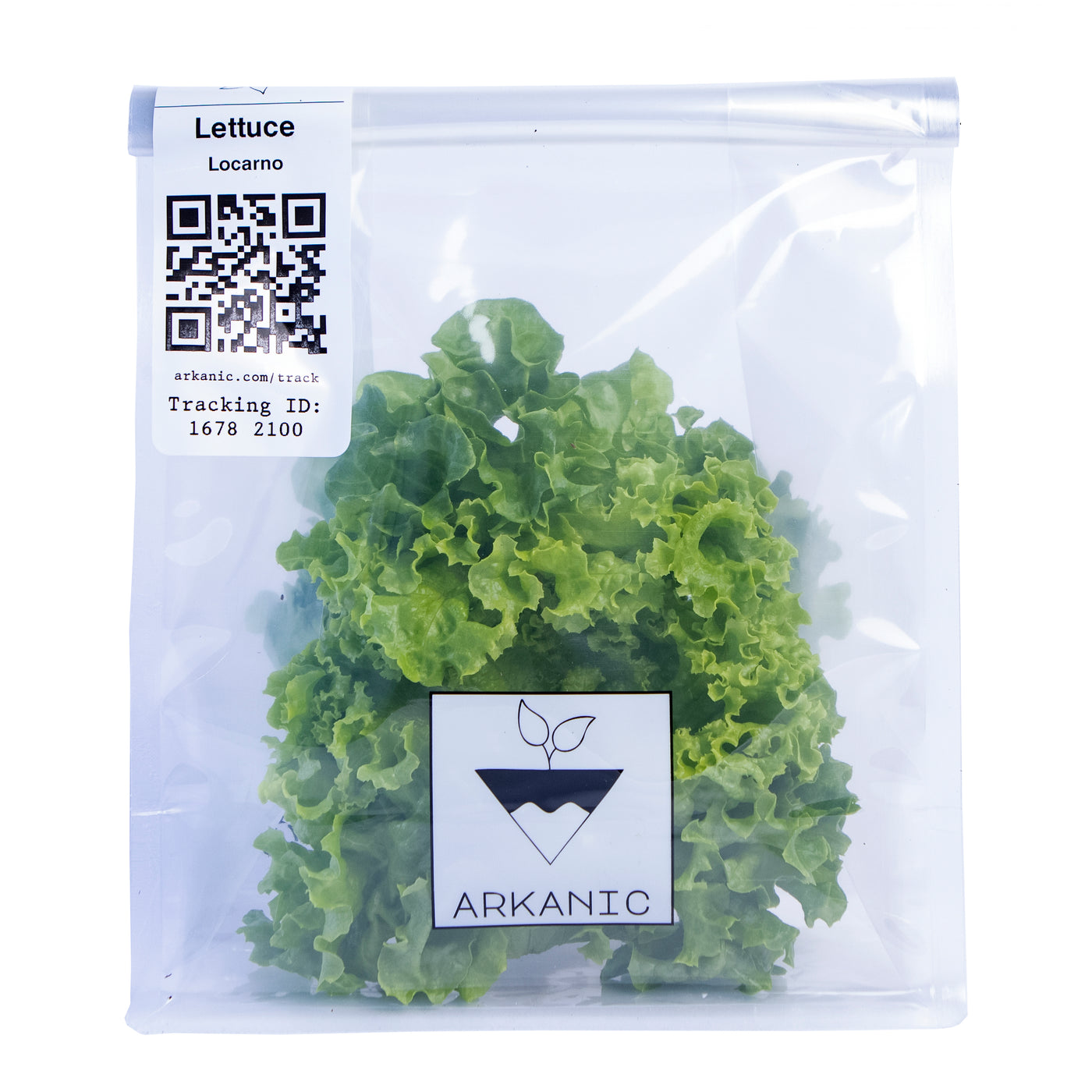 Locarno Green Lettuce Bunch | 80g-120g