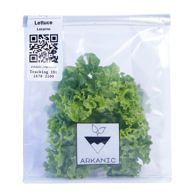 Locarno Green Lettuce Bunch | 80g-120g