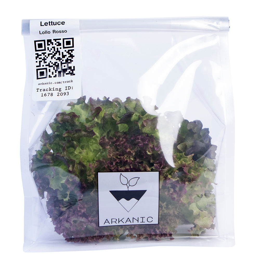 Lollo Rosso Green Lettuce Bunch | 80g-120g