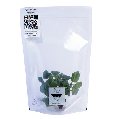 Oregano Herb Bunch | 40g-70g