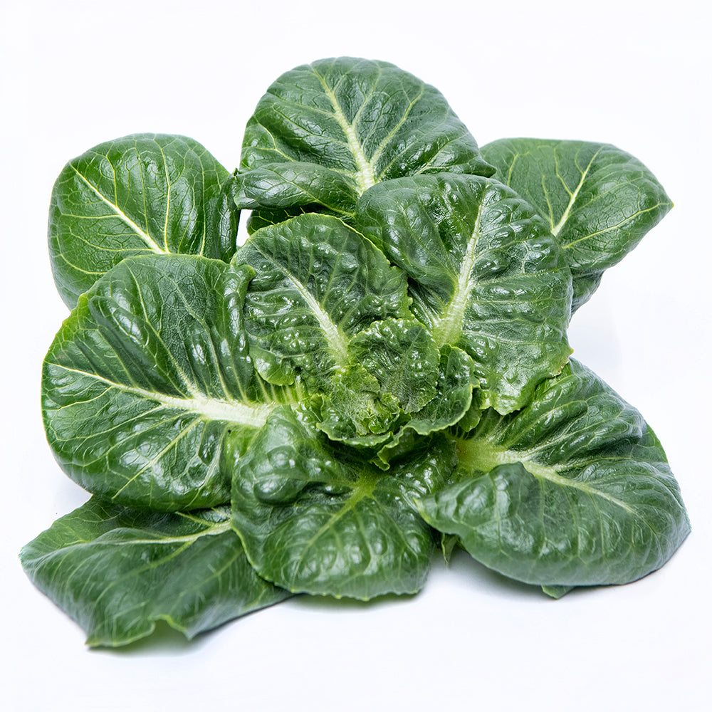 Romaine Green Lettuce Bunch | 60g-90g