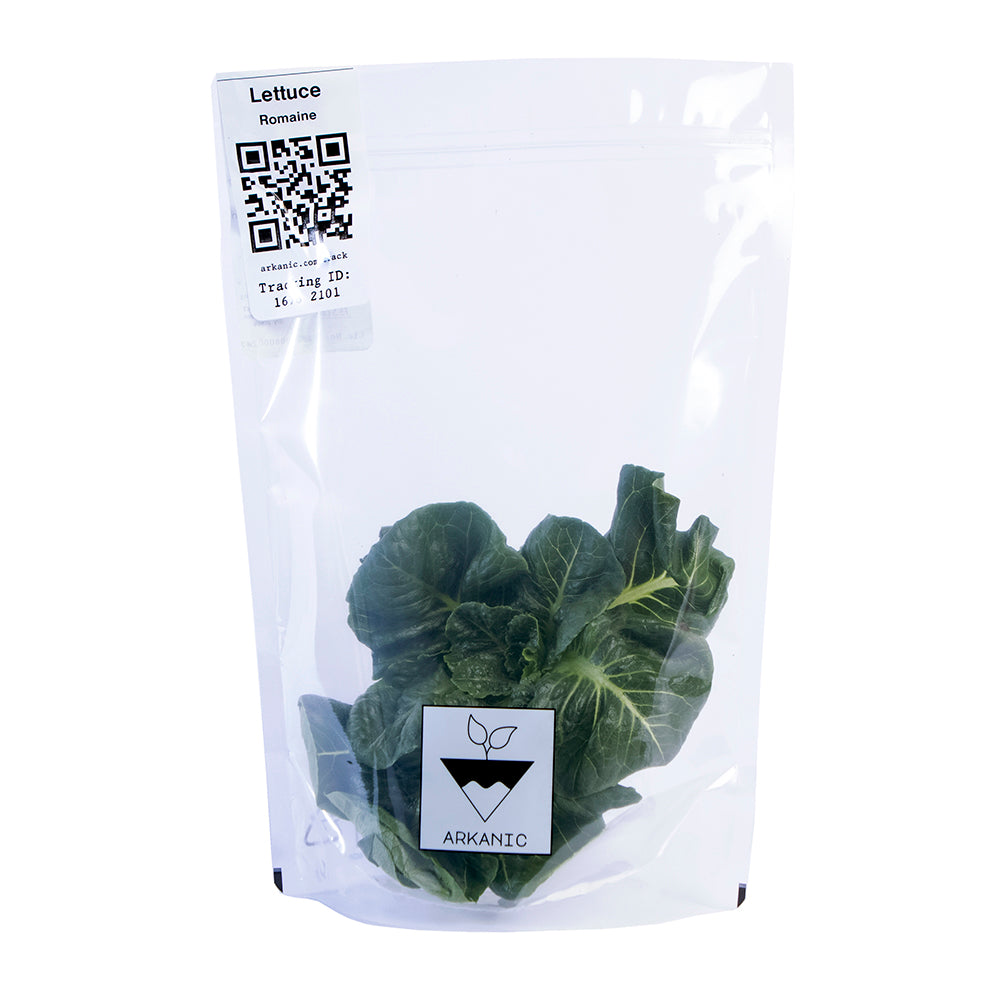 Romaine Green Lettuce Bunch | 60g-90g