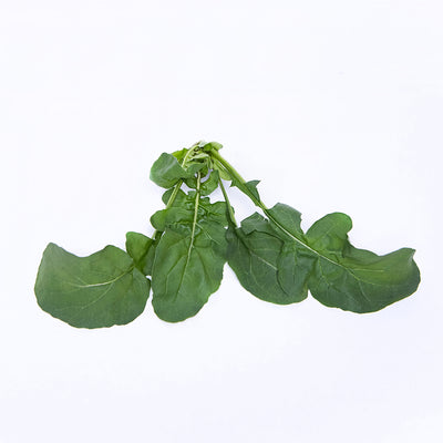 Salad Arugula Rocket Leaves Bunch | 50g-80g