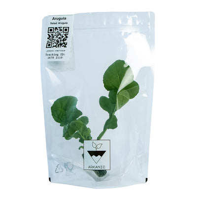 Salad Arugula Rocket Leaves Bunch | 50g-80g