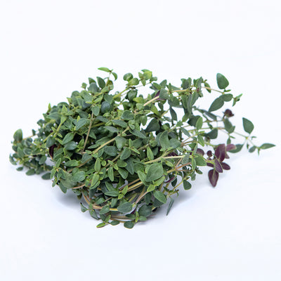 Thyme Herb Bunch | 20g-40g