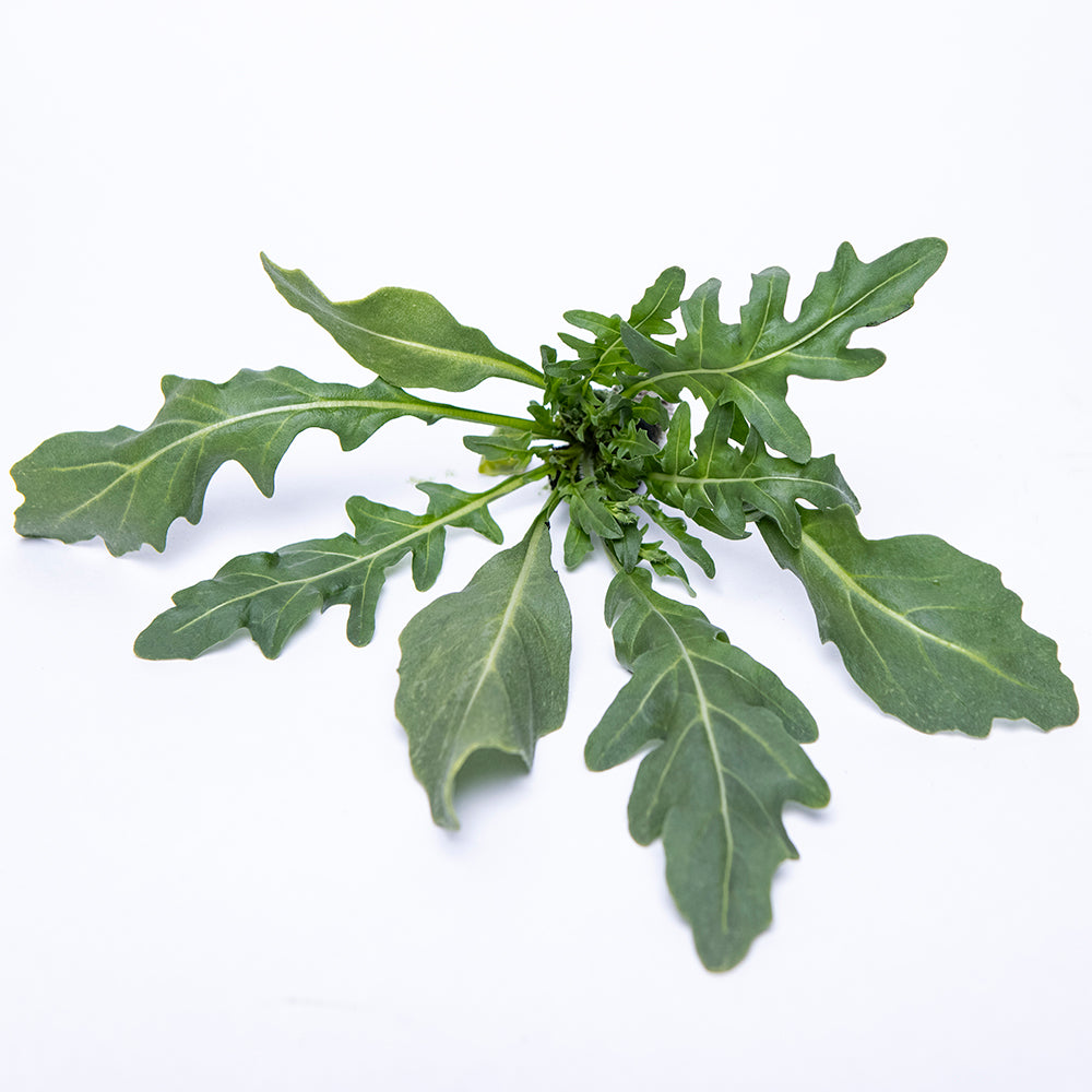 Wild Rocket Arugula Leaves Bunch | 50g-80g x 2 Units