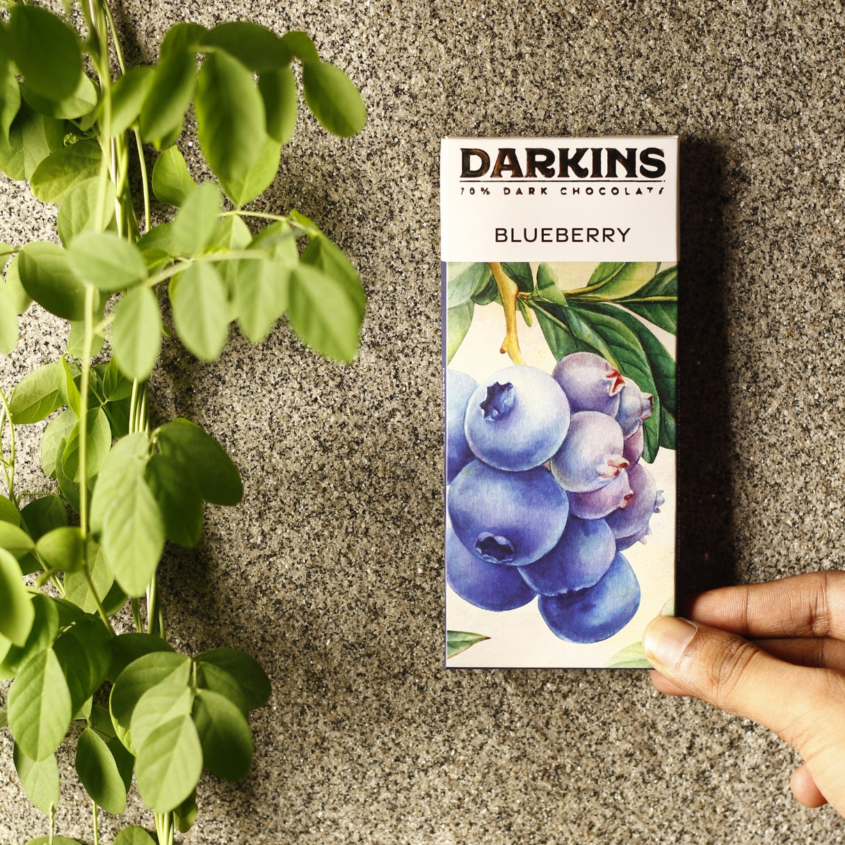 Darkins Dark Chocolate Blueberry - 70%