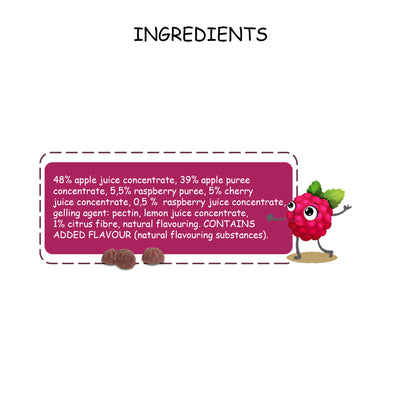 Fruit Forest Real Fruit Snack - Raspberry